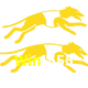  Win1555
